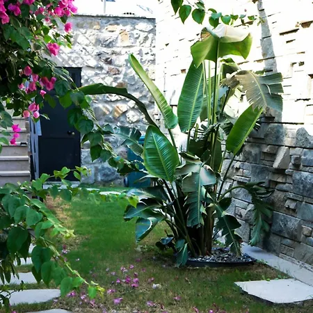 Luxury Villasea View And Private Pool Willa Bodrum